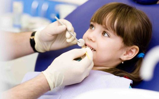 The Happy Mouth Handbook: Joyful Dental Care Practices